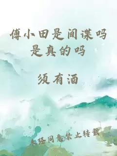 傅小田是間諜嗎是真的嗎