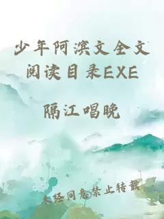 少年阿濱文全文閱讀目錄EXE