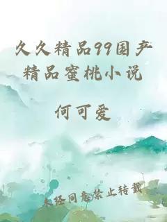 久久精品99國產(chǎn)精品蜜桃小說(shuō)