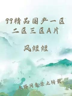 99精品國產(chǎn)一區二區三區A片