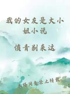 我的女友是大小姐小說(shuō)