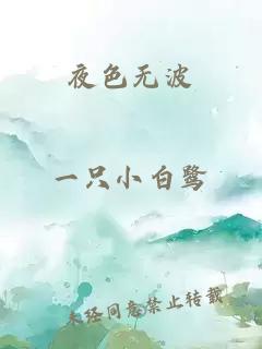 夜色無(wú)波