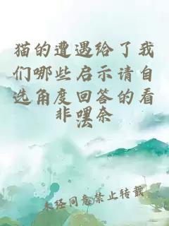 越奚