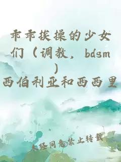 乖乖挨操的少女們（調教，bdsm）