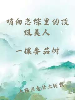 哨向戀綜里的頂級美人