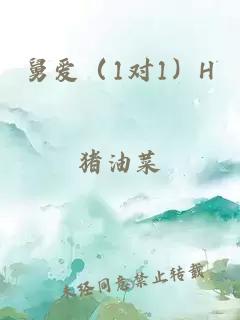 舅愛(ài)（1對1）H