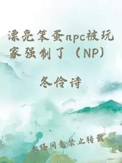 漂亮笨蛋npc被玩家強制了（NP）