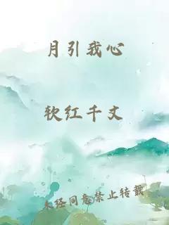 月引我心