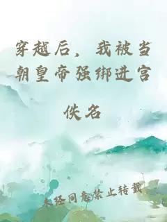 穿越后，我被當朝皇帝強綁進(jìn)宮