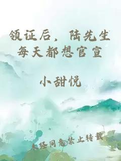 領(lǐng)證后，陸先生每天都想官宣