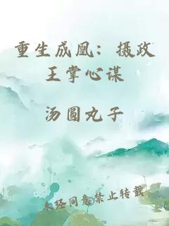重生成凰：攝政王掌心謀