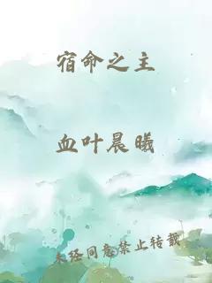 宿命之主